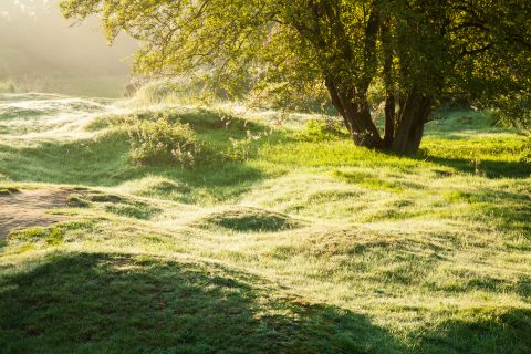 Kraterlandschap op Hill 60