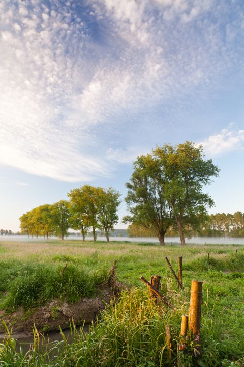 Lente ochtend