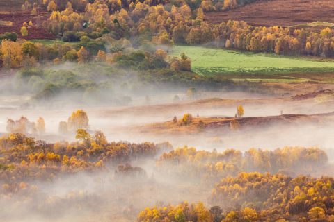 Mistig herfstlandschap