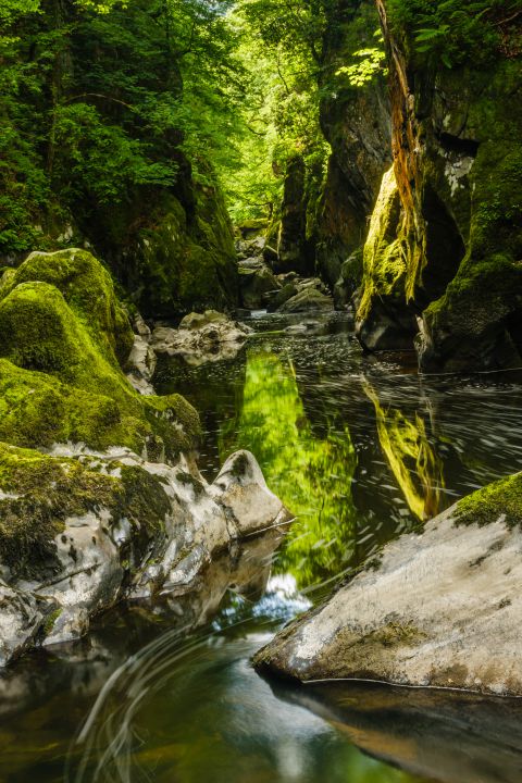 Fairy Glen