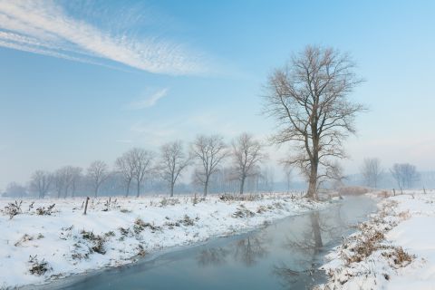 Winterse beek