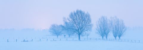 Winter schemering