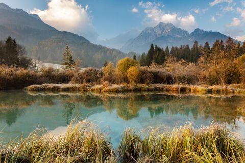 Zelenci pools