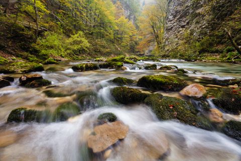 Vintgar Gorge