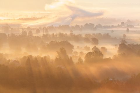Sloveens platteland in mist