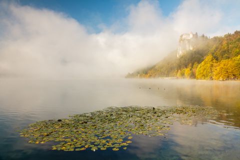 Castle Bled bij ochtend