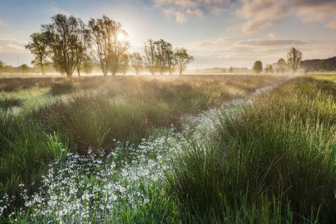 Zonsopgang in de Keuzemeersen