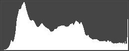 Histogram bij foto